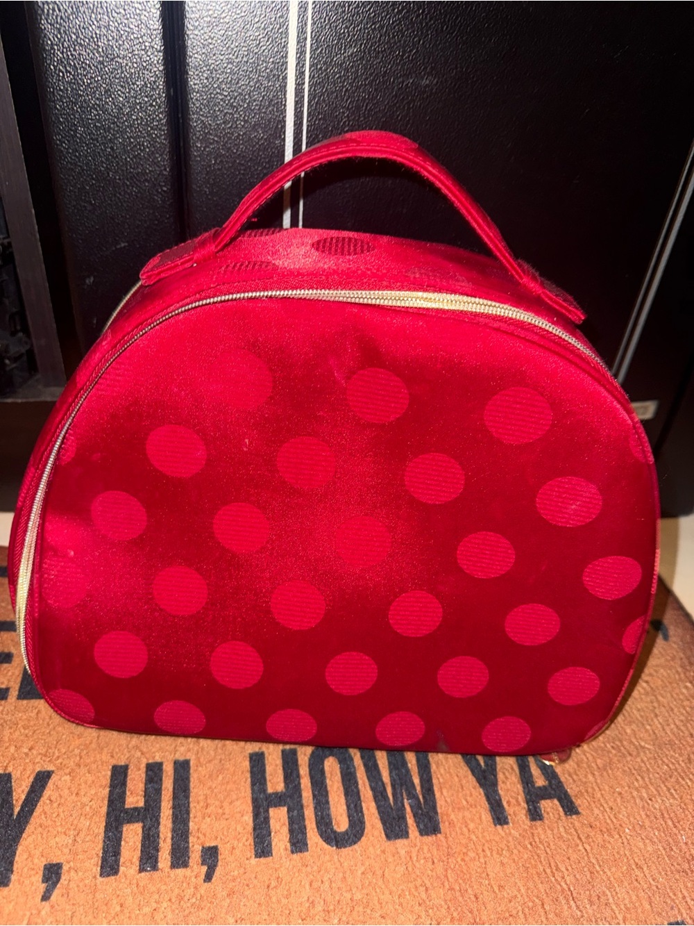 Estée Lauder Red Cosmetic Travel Case Gold Zipper Leather Pull